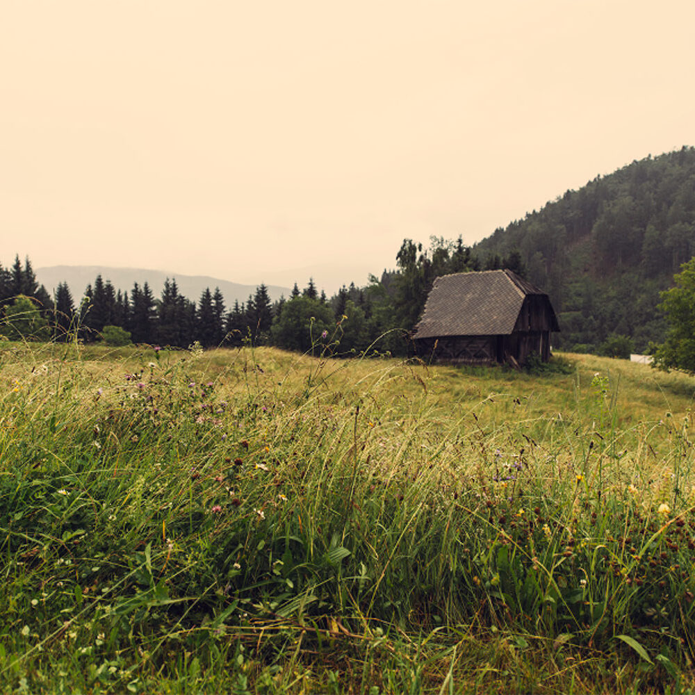 Een certified opleiding in de markt zetten