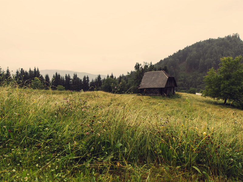 Een certified opleiding in de markt zetten